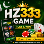 hz333 game